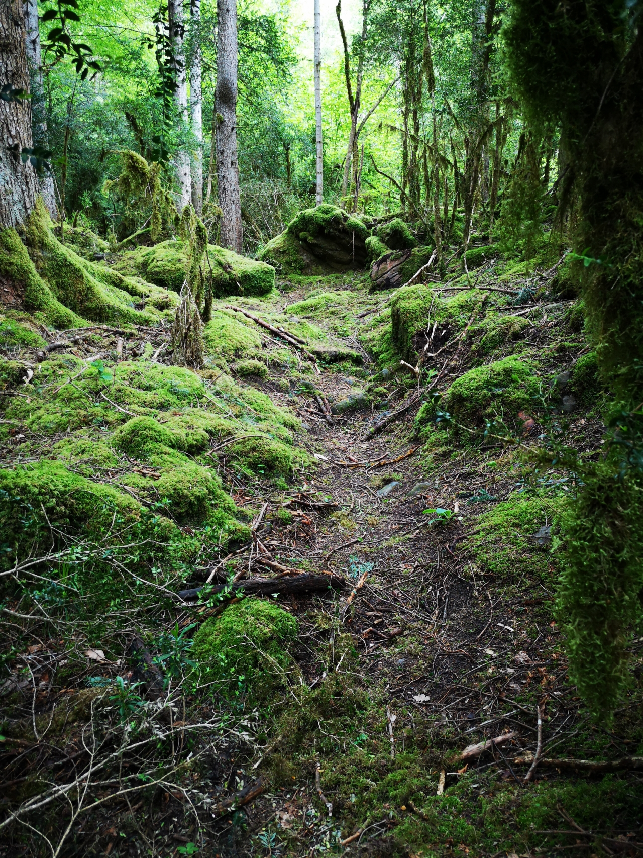 stage de survie en nature côte d'azur randonnée en nature
