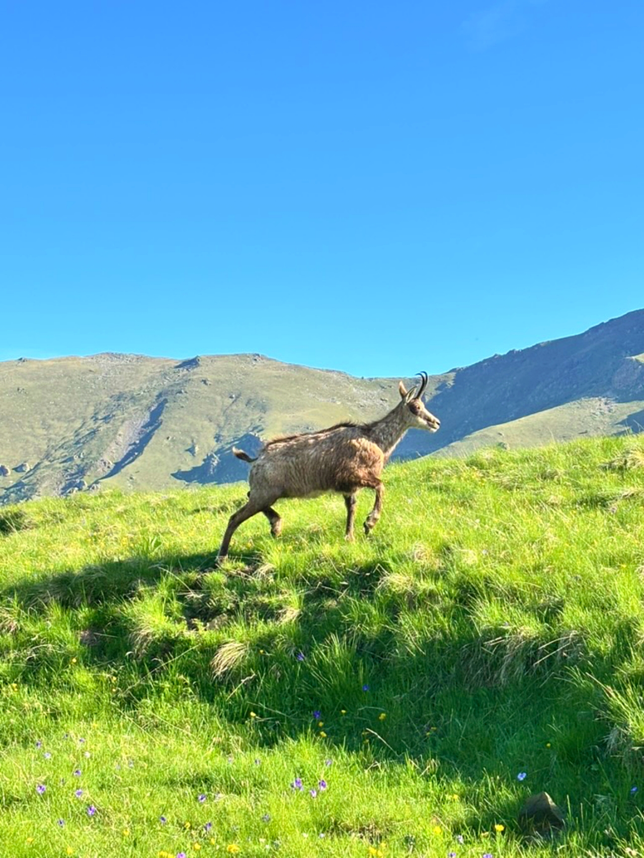 campement en nature alpes maritmes