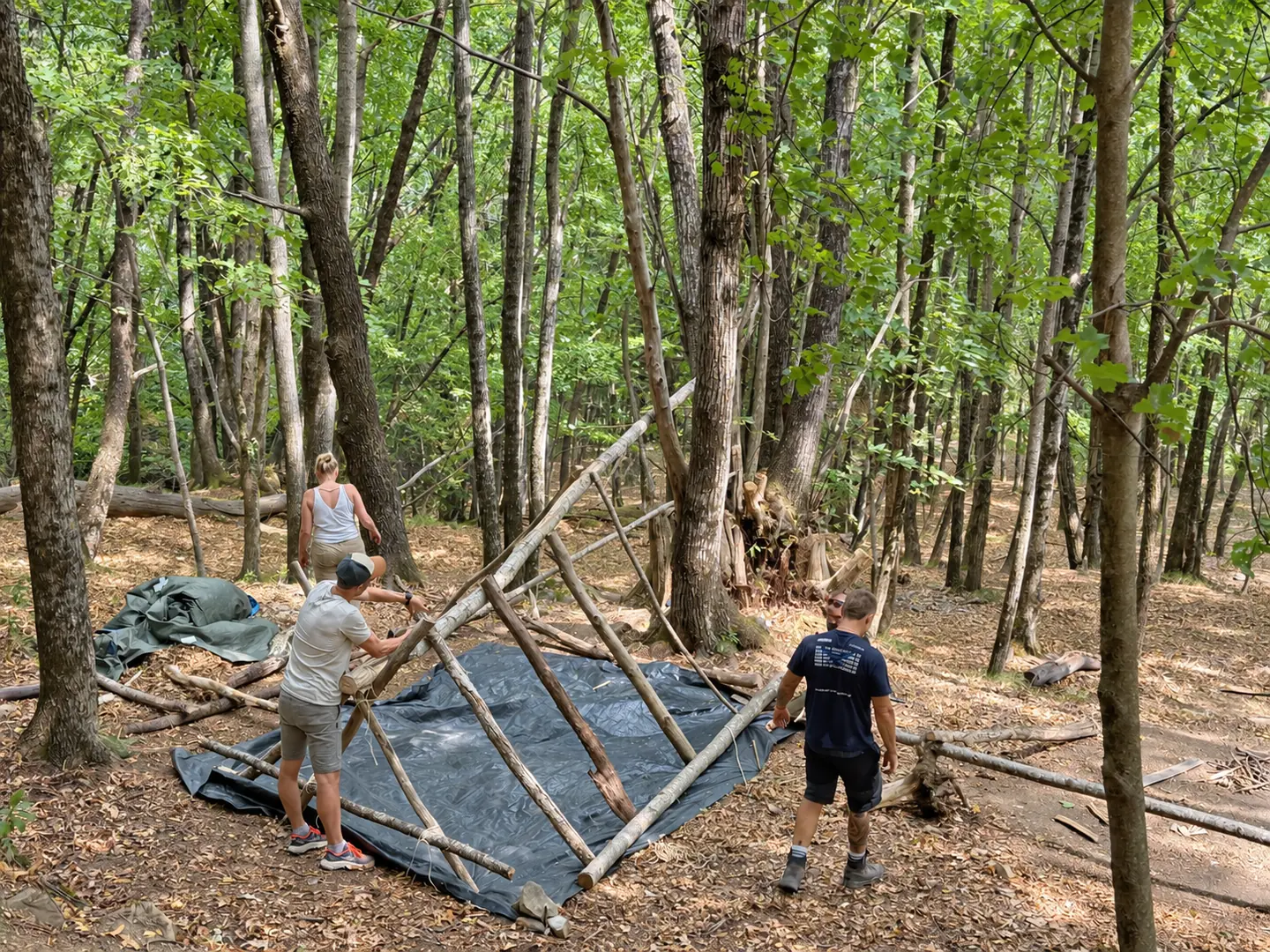 Participants assemblant une armature en bois au-dessus de bâches dans une forêt