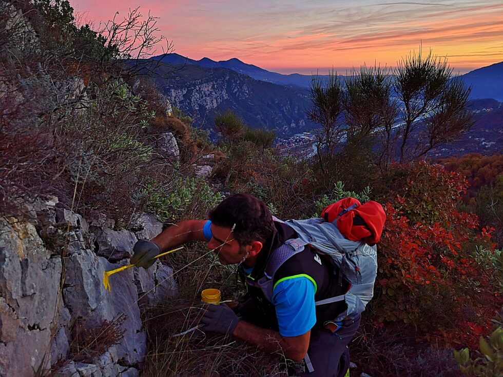 Intervenant CAIRN Expe peignant une marque jaune sur un rocher le long d’un sentier.