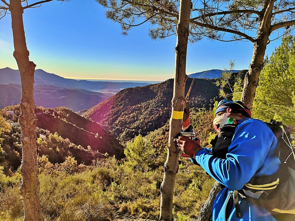 Réalisation d’une marque jaune de balisage sur un arbre en bord de sentier.
