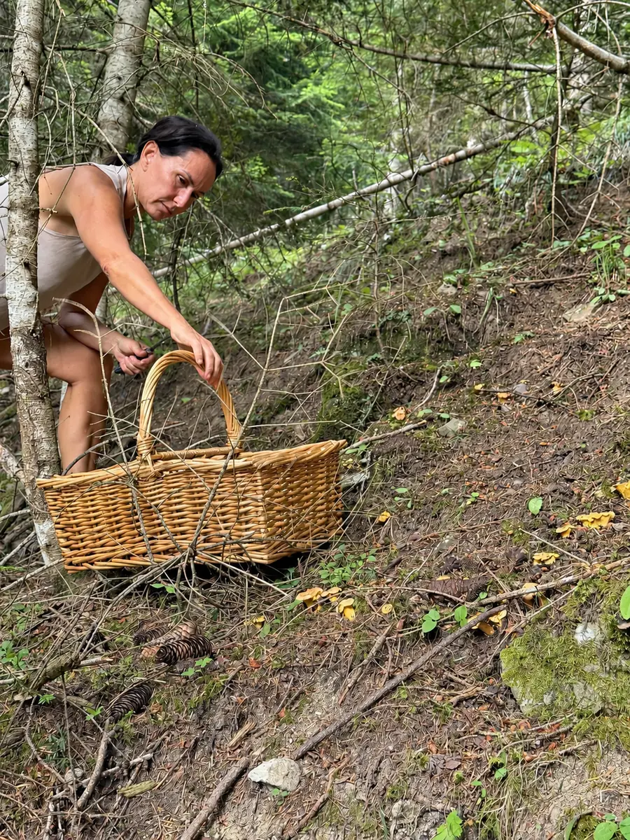 Personne accroupie avec un panier près de champignons sur le sol d’une forêt