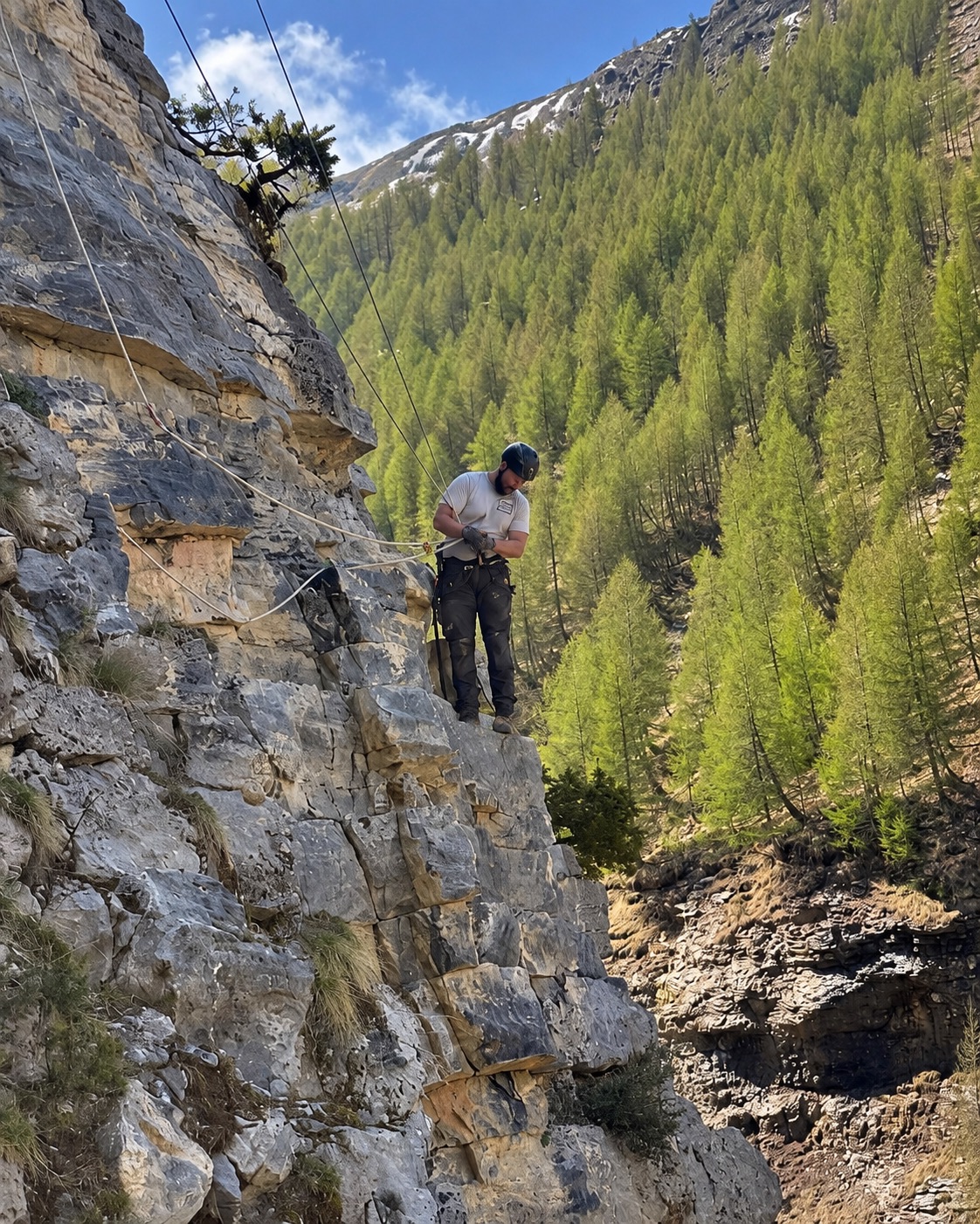 Intervention en falaise au-dessus d’une forêt de mélèzes