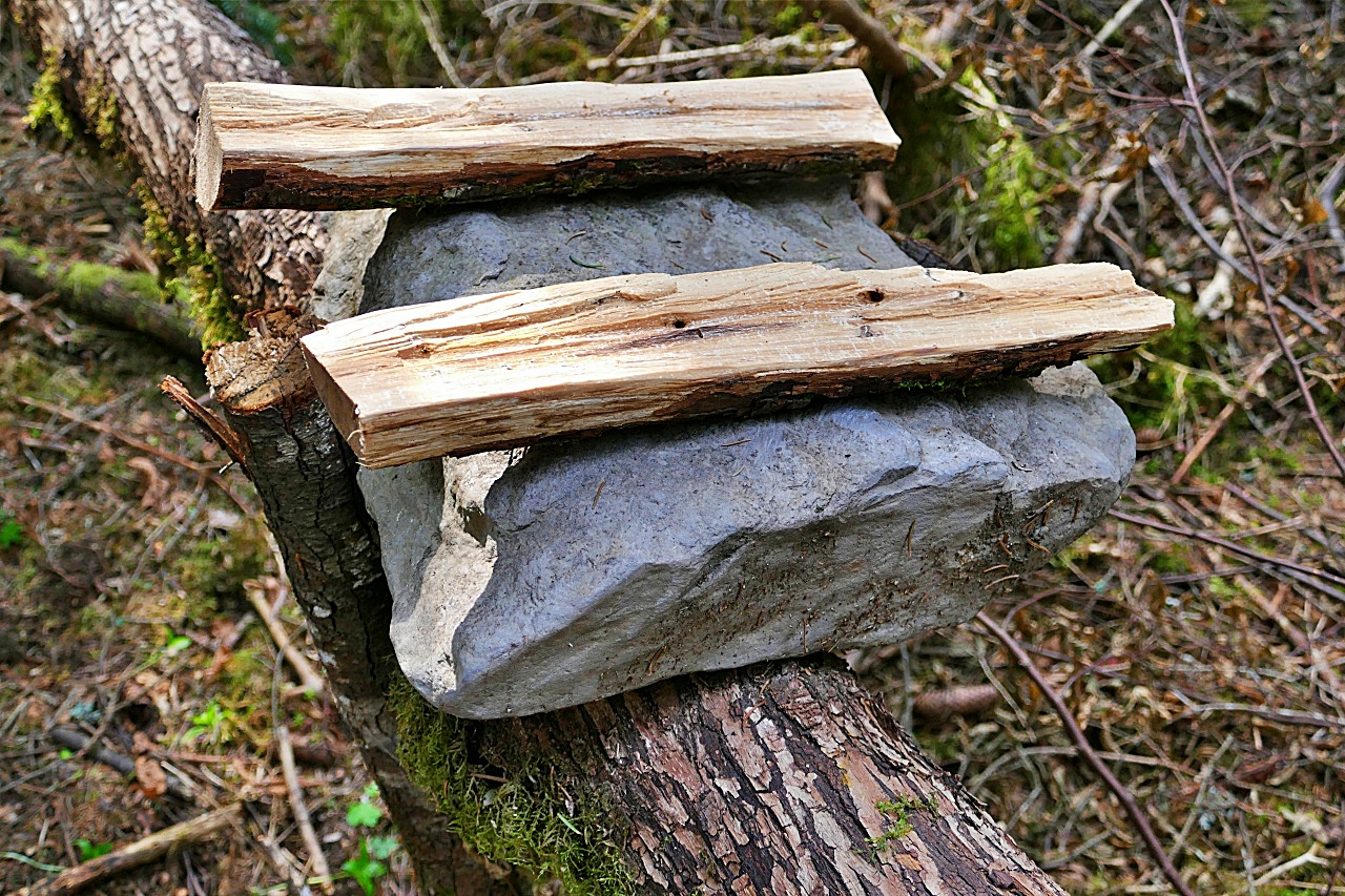fabriquez des outils pour survivre dans la foret